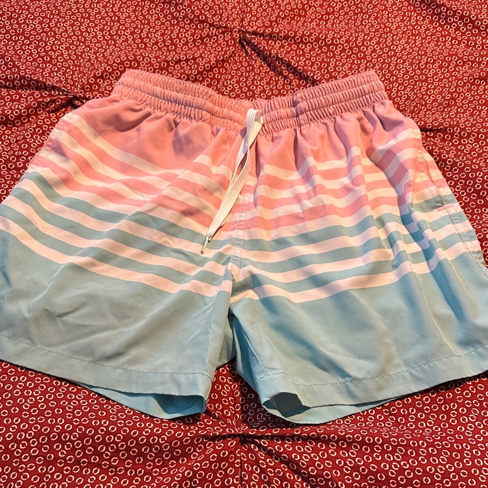 Chubbies Pink and Blue Striped Swim Shorts
